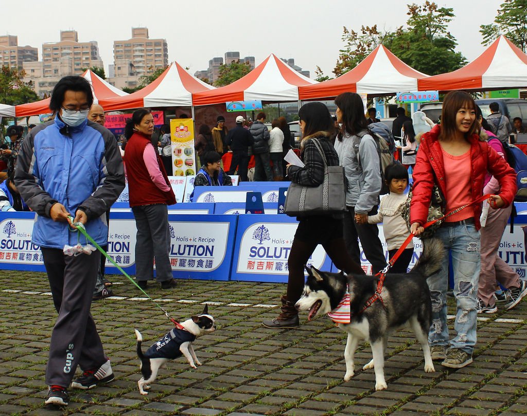 警犬吉娃娃取締醉醺醺哈士奇