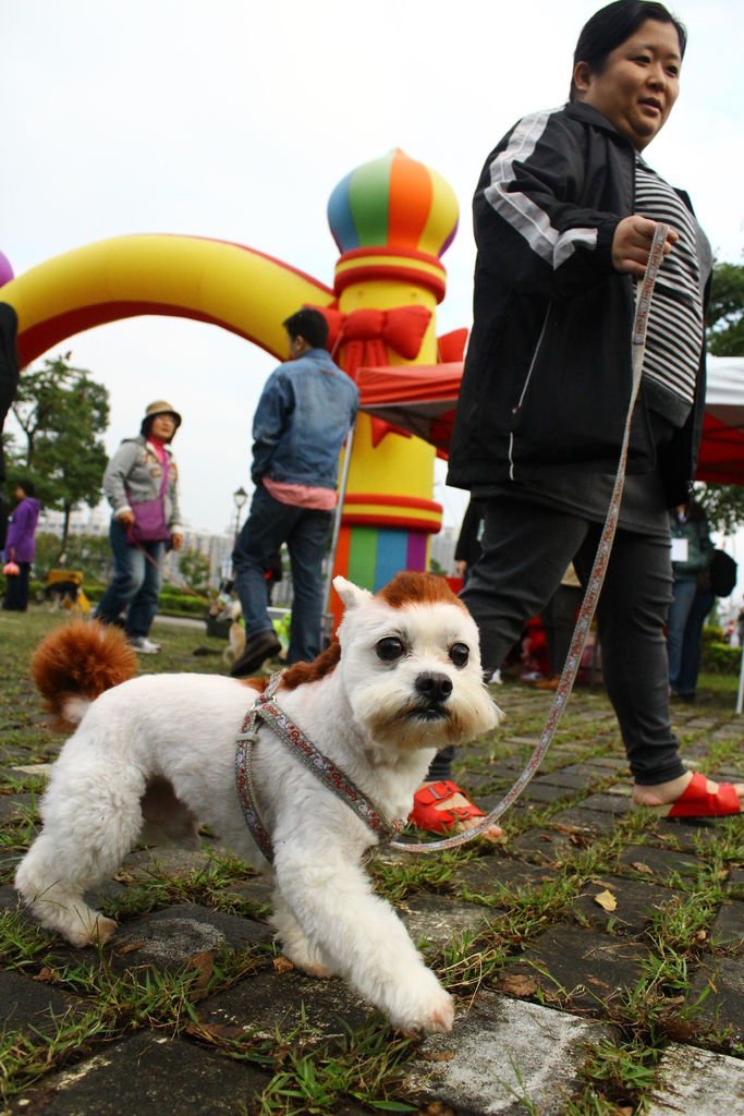 idog ipark4