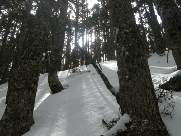 DSCN0685.JPG