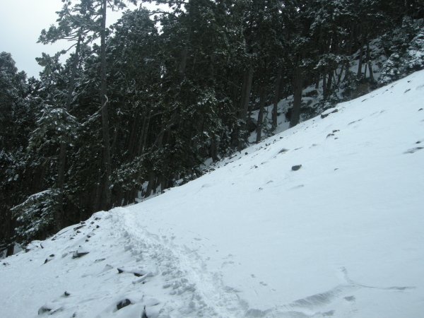 DSCN0689.JPG
