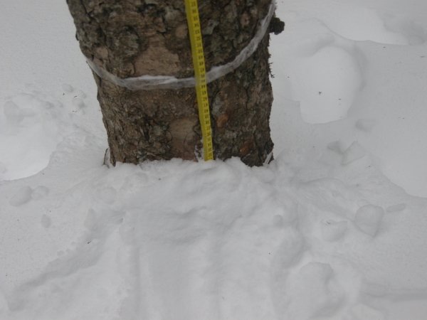 DSCN0722.JPG
