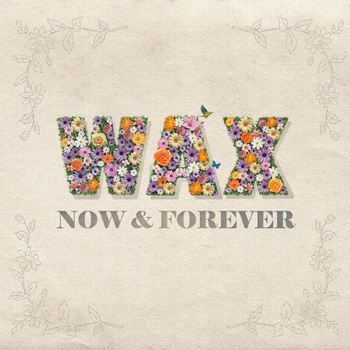 20121204_wax_nowforever