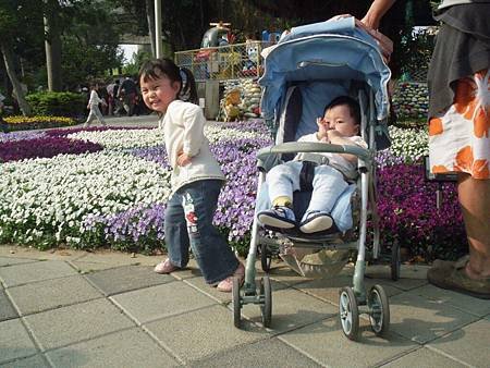 DSCF3084-二寶冷眼旁觀 [1280x768].JPG