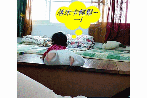 上下床.gif