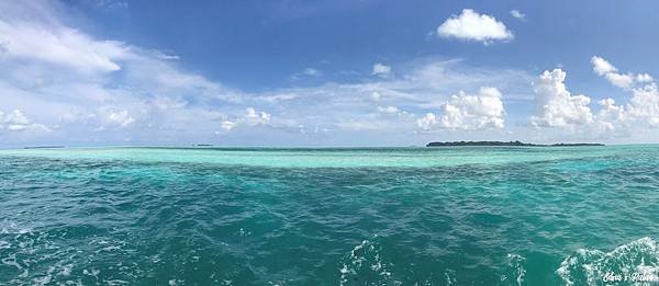 IMG_9333