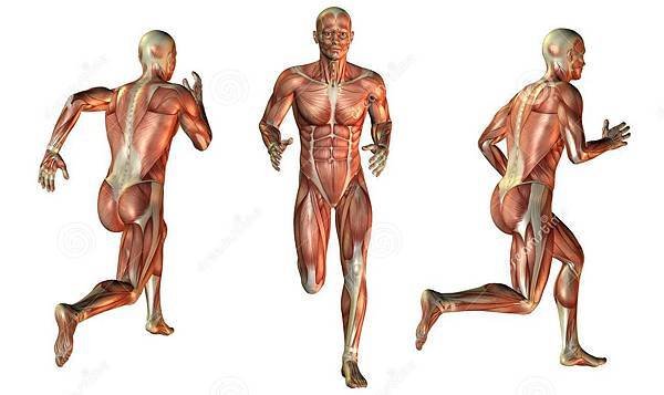 muscle-man-run-illustration-running-32841878.jpg