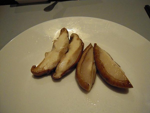 YD08.jpg