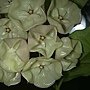 201311083788.jpg