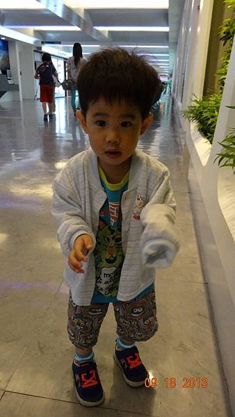 DSC02477 (450x800).jpg