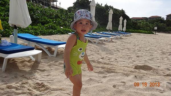 DSC02516 (800x450).jpg