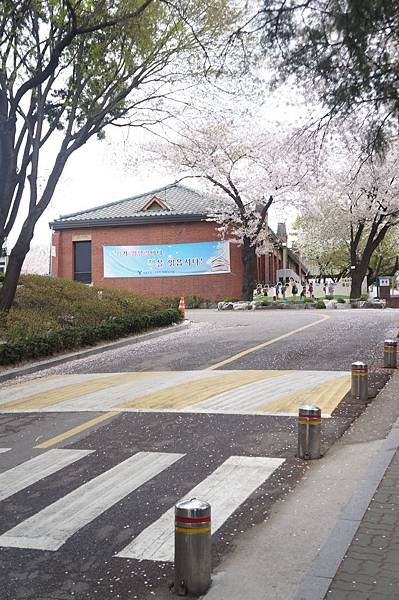 正讀圖書館09.JPG