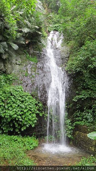 IMG_0482