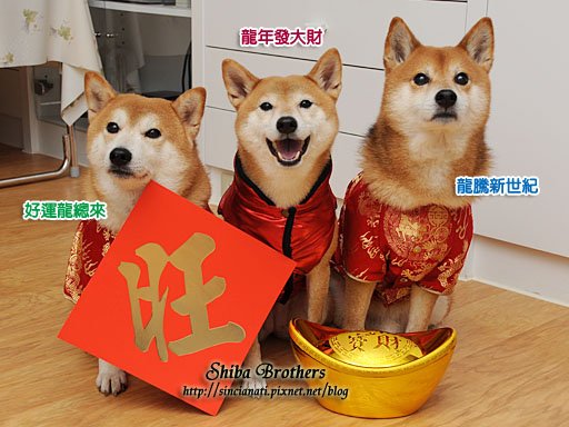 DSC_0009拷貝.jpg