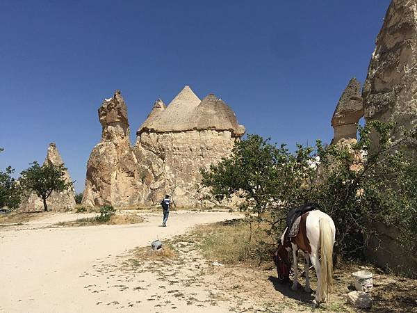 IMG_0604.JPG