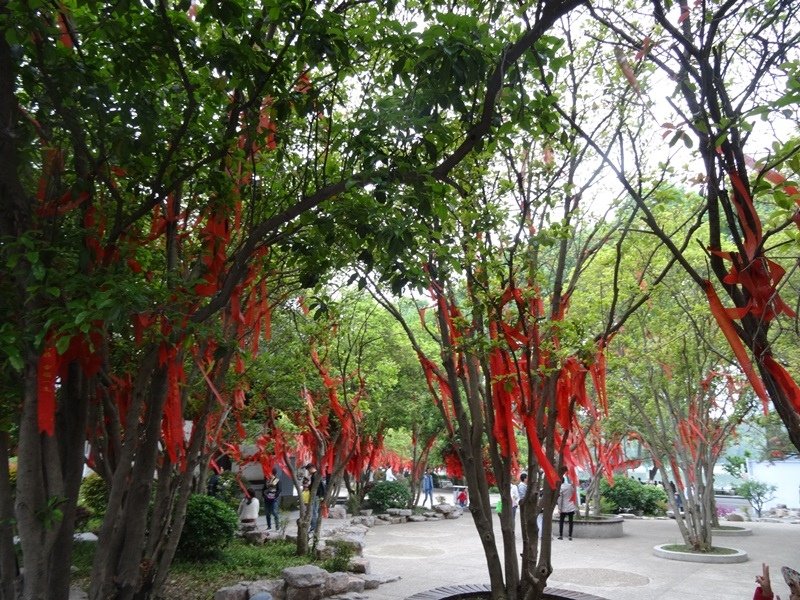 5-16.JPG - 南京玄武湖→揚州博物館 揚州東關街