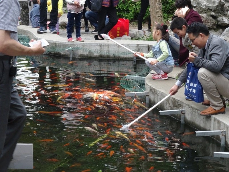 5DSC00327.JPG - 南京玄武湖→揚州博物館 揚州東關街
