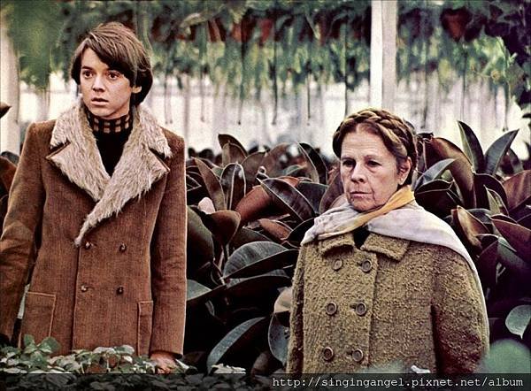 Harold and Maude01