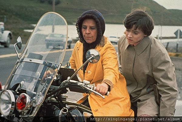 Harold and Maude02