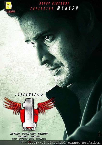 1 Nenokkadine