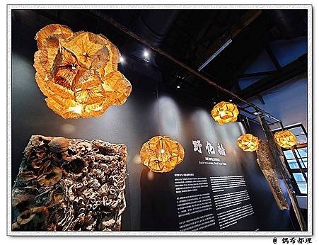 【臺灣旅遊・展覽】2023臺灣文博會・文創品牌・華山&amp;松山文