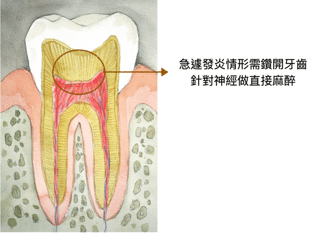 圖片 1.png