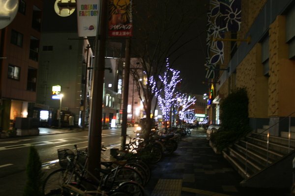 IMG_5559.jpg