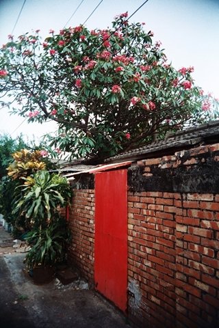 Vivitar001-30.jpg