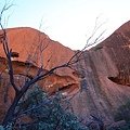 IMG_4483.JPG