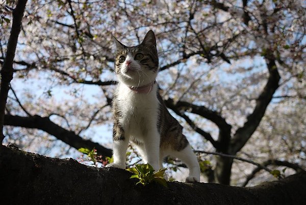 P1090115.JPG