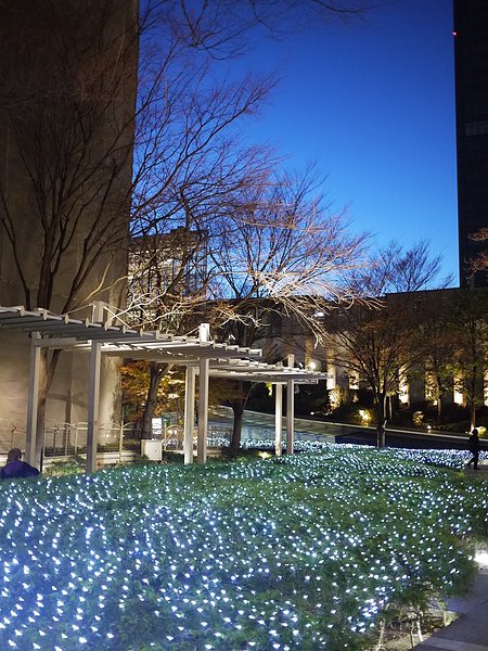 P1020424.JPG