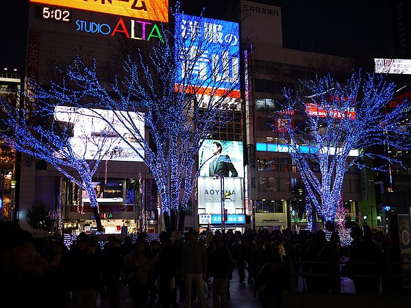 P1010823.JPG