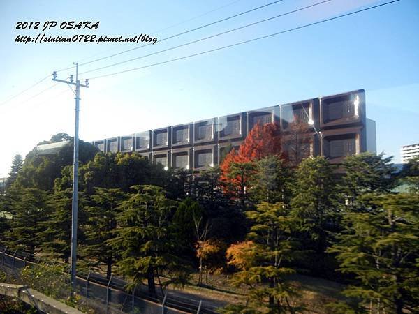 DSCN4257