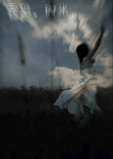 20090317210914923.gif