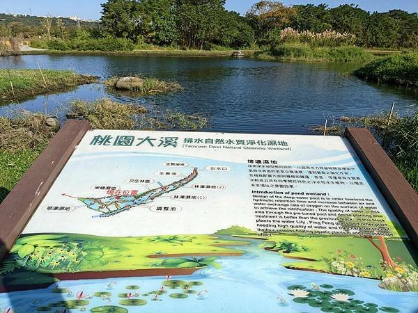 月眉人工濕地生態公園-07.jpg