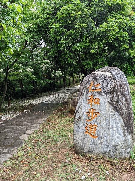 湖口仁和步道-18.jpg