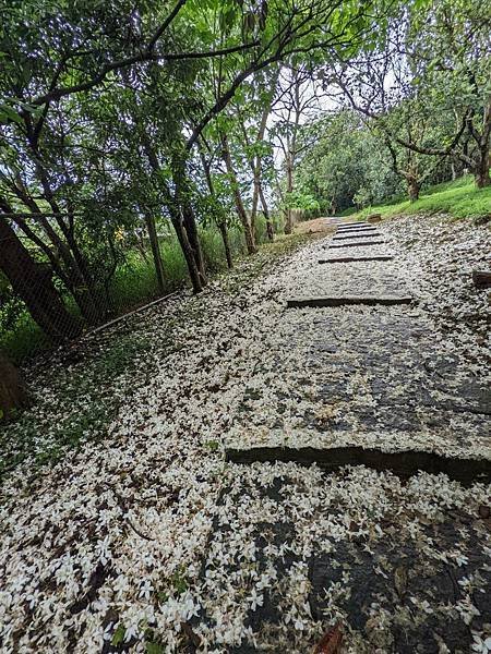 湖口仁和步道-20.jpg