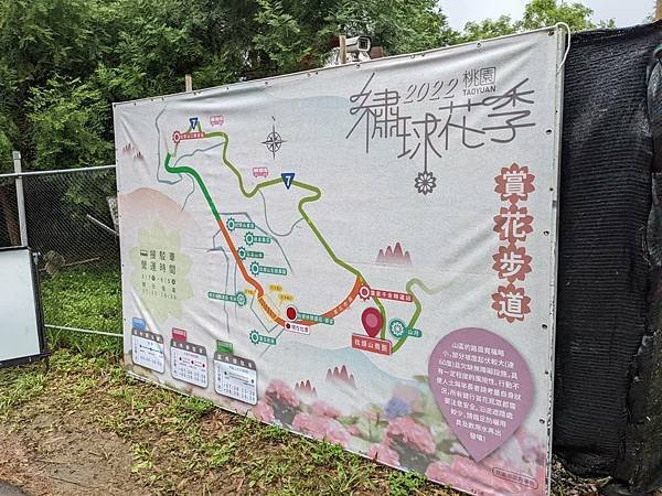2022桃園繡球花季-05.jpg