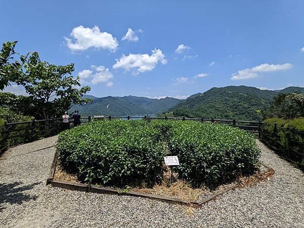 永安景觀步道、八卦茶園觀景台、石碇千島湖觀景台-11.jpg