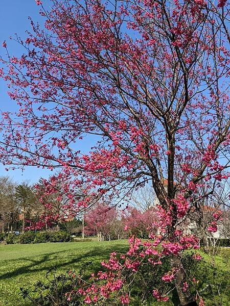 渴望會館中央公園-14.jpg