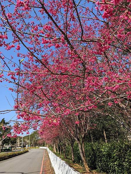 渴望會館中央公園-18.jpg