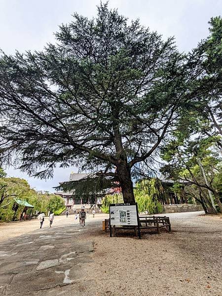 増上寺-05.jpg
