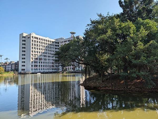 中央大學櫻花-21.jpg