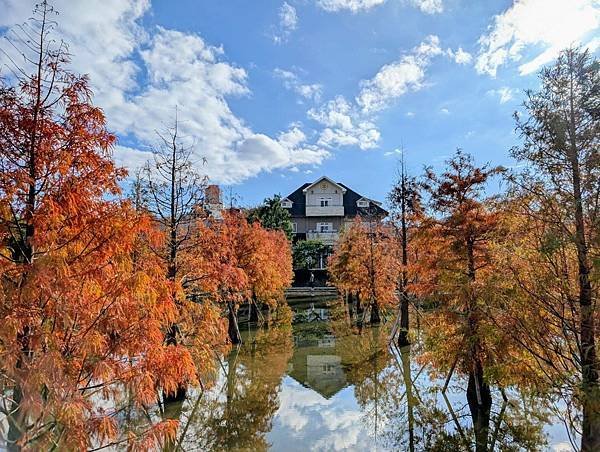 蘭庭農莊花園餐廳落羽松-07.jpg