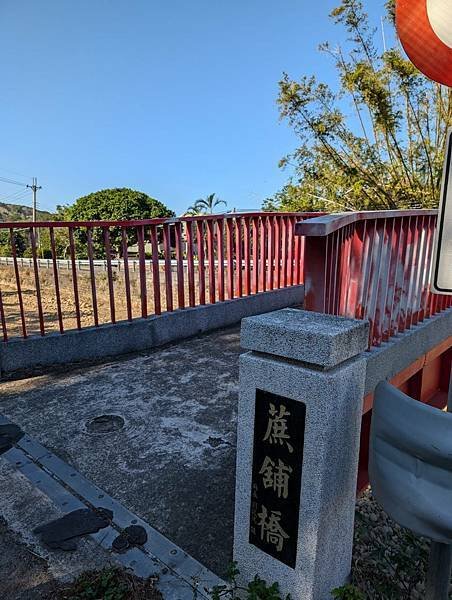 通霄落羽松大道-18.jpg