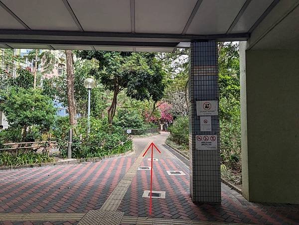 元州邨簕杜鵑花隧道-05.jpg