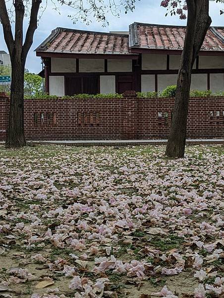 黃記涼麵涼圓+文化公園-24.jpg
