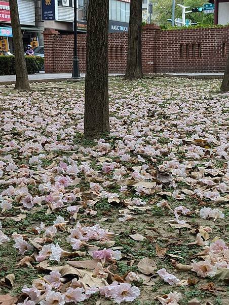 黃記涼麵涼圓+文化公園-23.jpg
