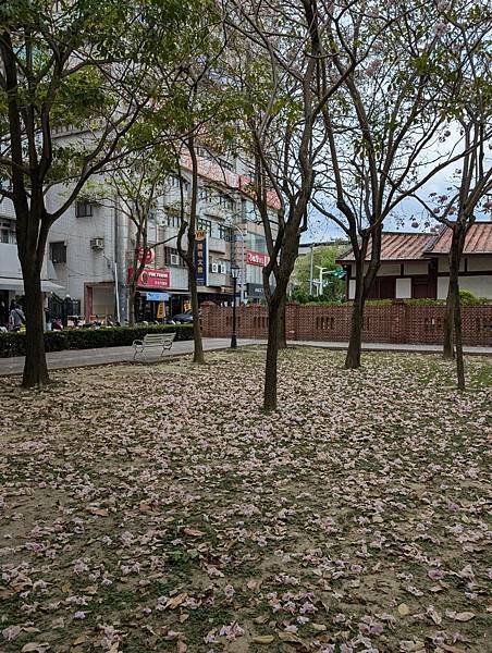 黃記涼麵涼圓+文化公園-22.jpg