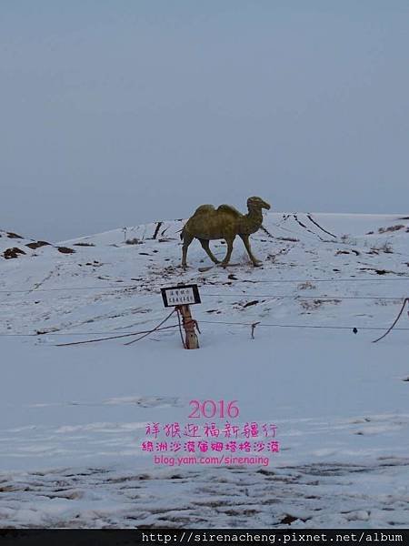 2016新疆烏魯木齊六日遊_庫姆塔格沙漠_SirenaCheng