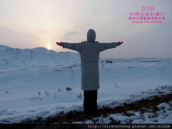 2016新疆烏魯木齊六日遊_庫姆塔格沙漠_SirenaCheng